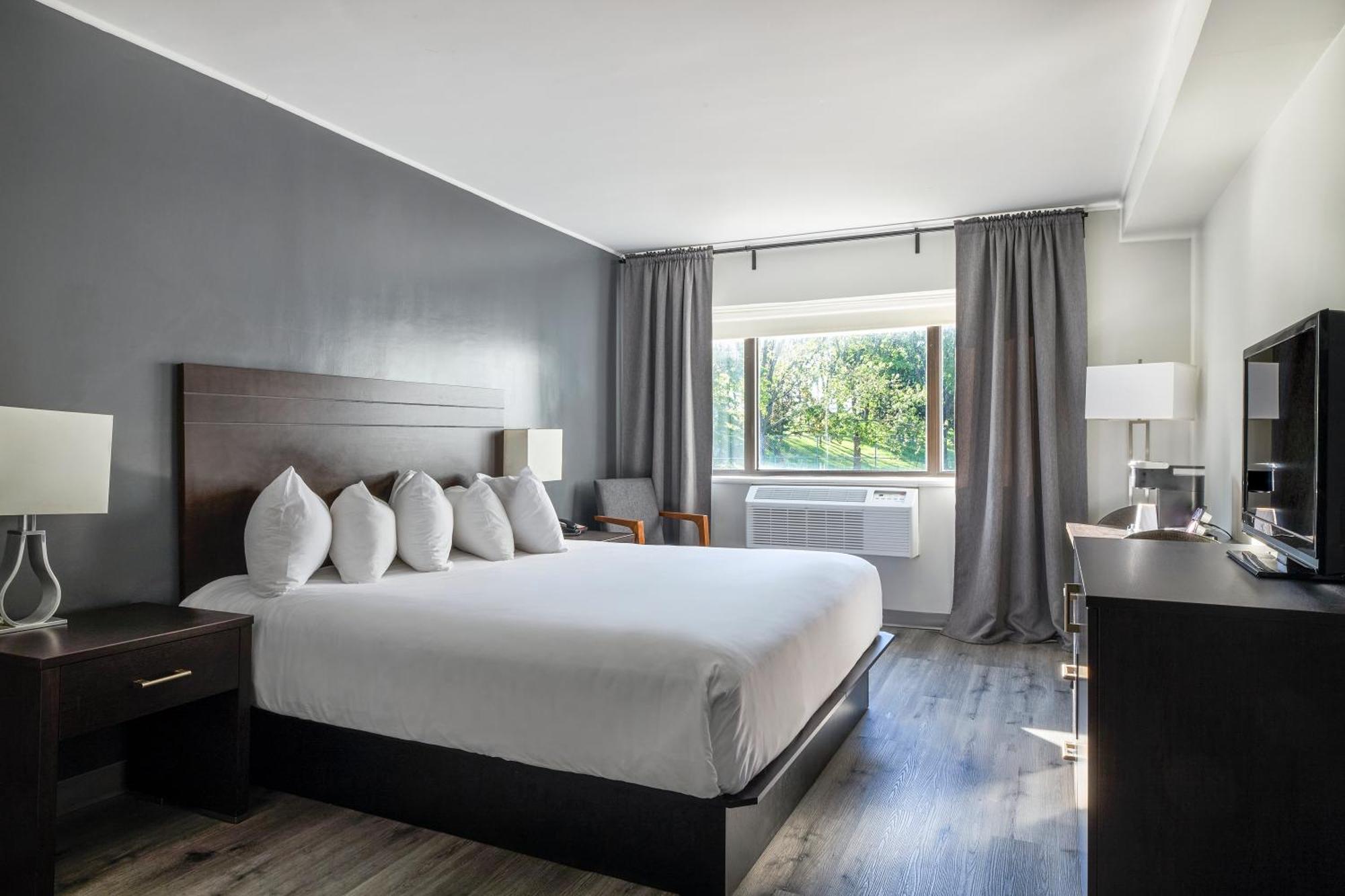 Standard Room, 1 King Bed