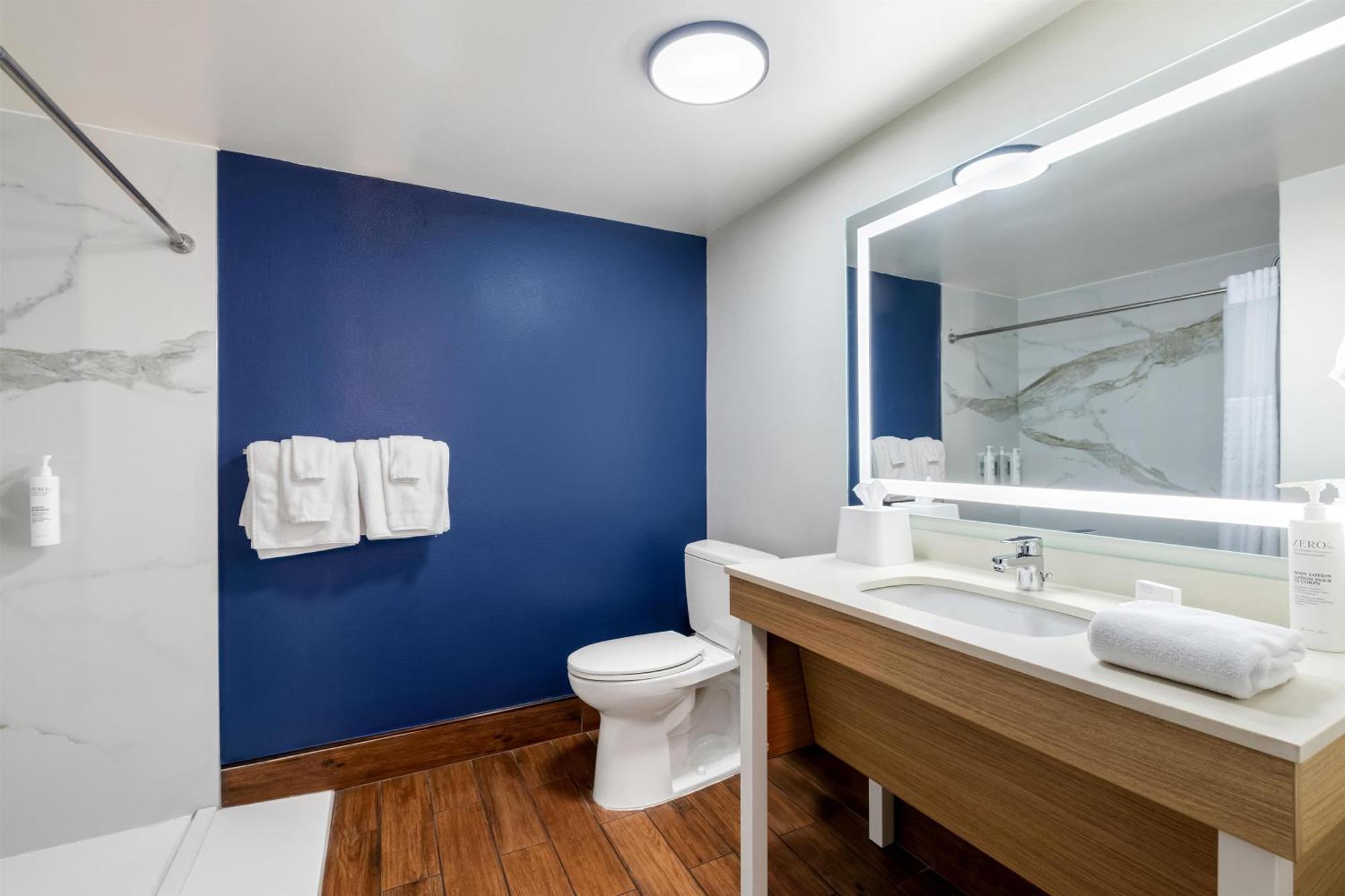 King Room with Roll-In Shower - Mobility Access