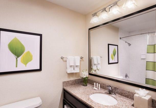 King Room,540969117:JPEG