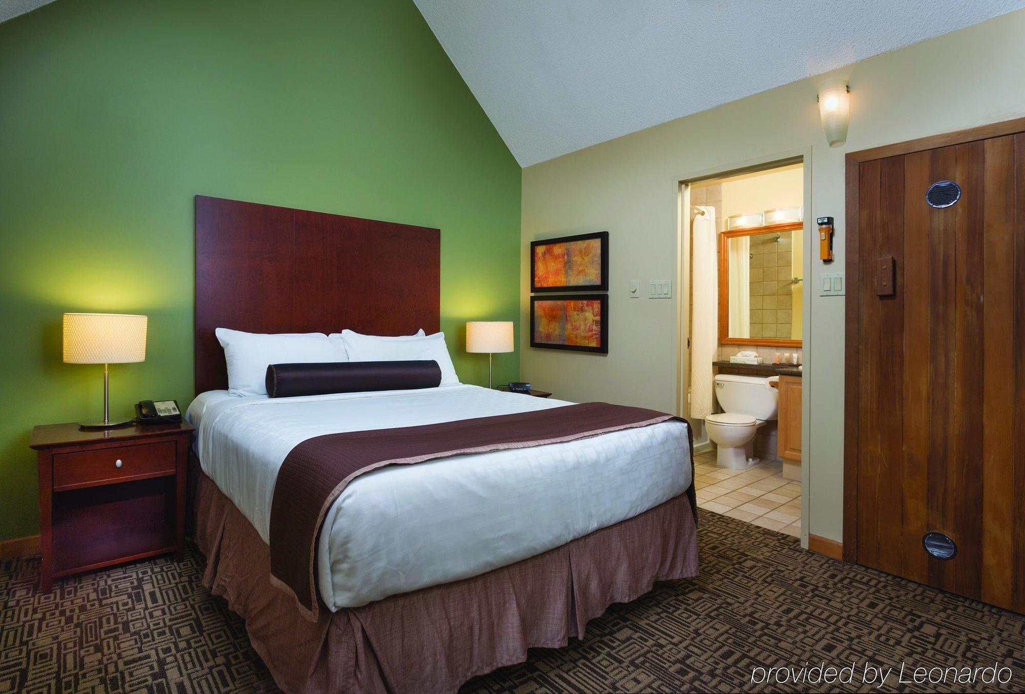 Loft Suite