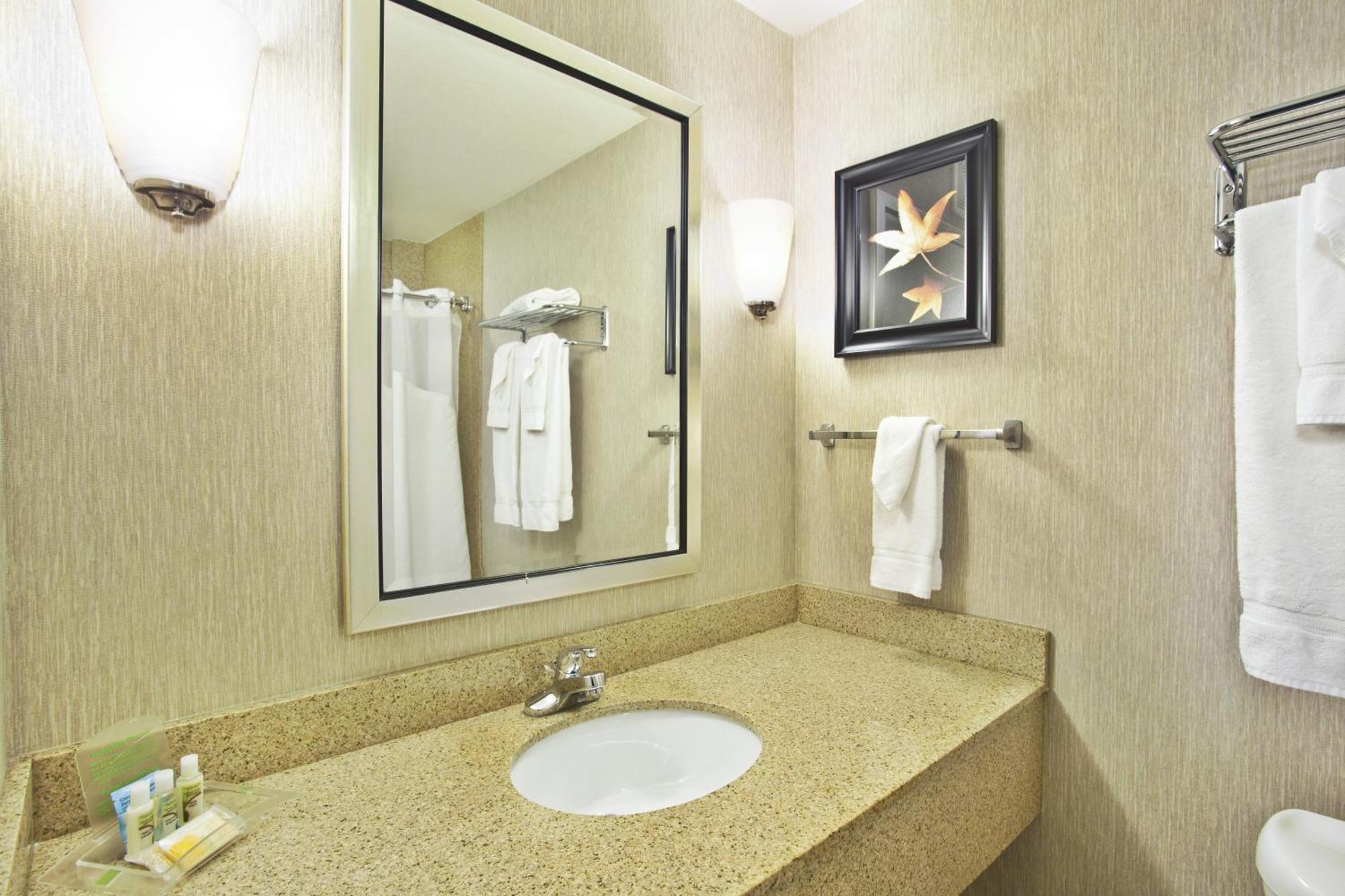 Deluxe King Room - Hearing Accessible with Bath Tub/Non-Smoking