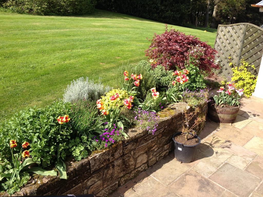 Family Room with Garden View