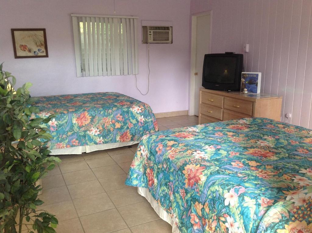 Queen Room with Two Queen Beds