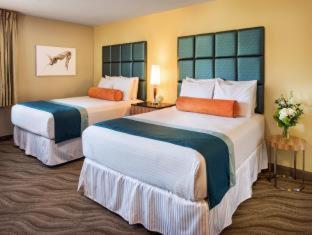 Superior Queen Room with Two Queen Beds,1234985105:JPEG
