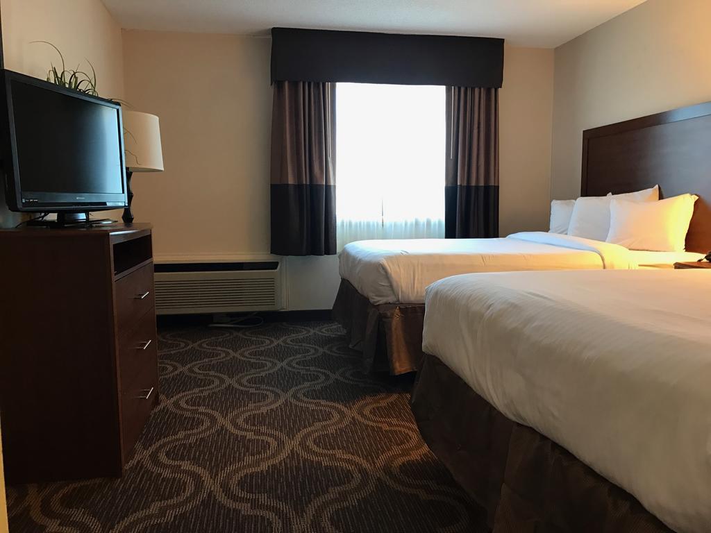 Standard Room with Two Queen Beds,547514649:JPEG