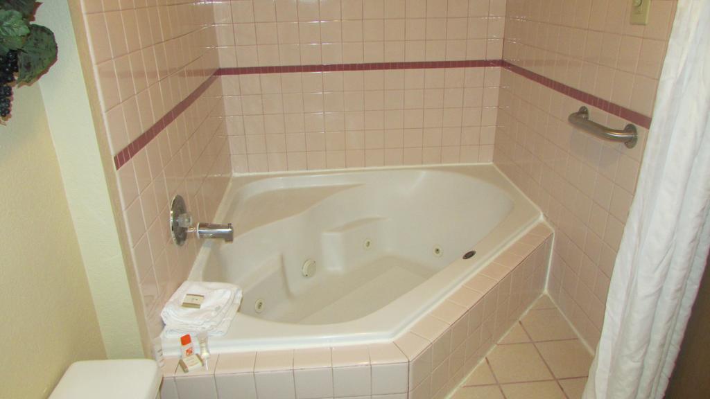 King Studio Suite - Non-Smoking (No Pets),845675651:JPEG