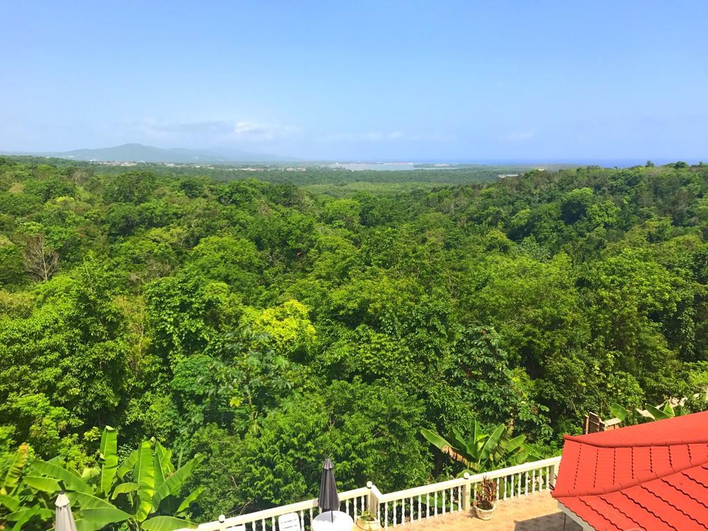 Superior Double or Twin Room with Sea View,519449982:JPEG