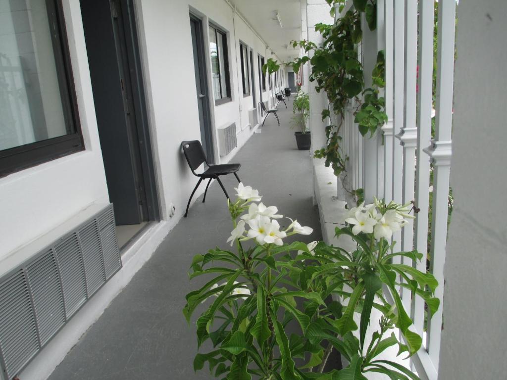 King Room (2 Adults)