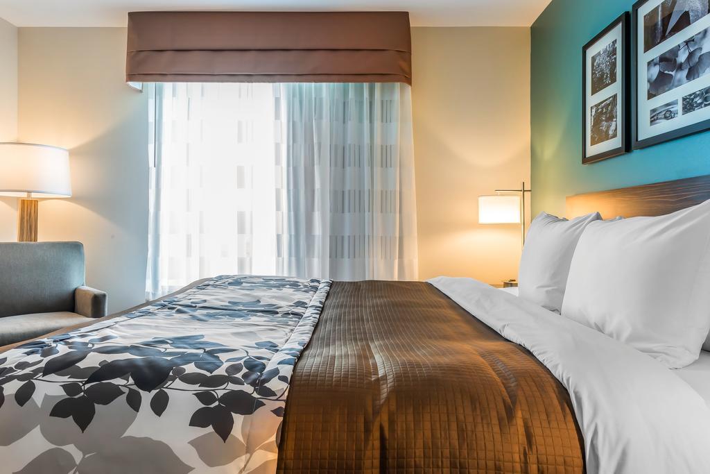 King Suite with Sofa Bed