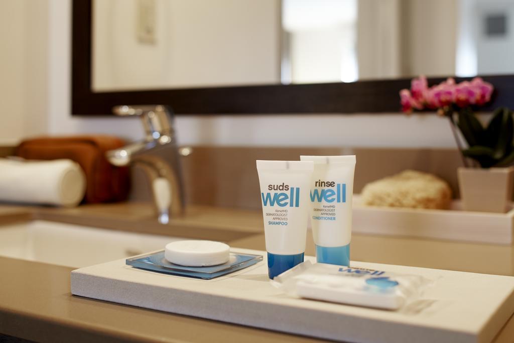 King Studio Suite with Sofa Bed and Kitchen