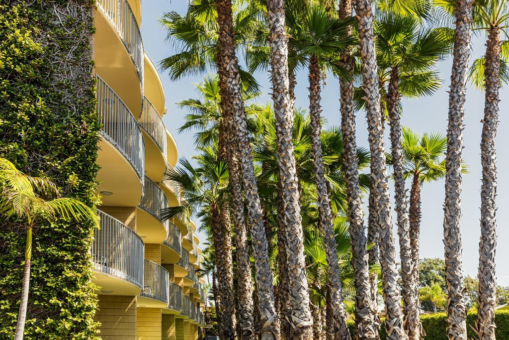 Resort Junior Suite 1 King,702286594:JPEG