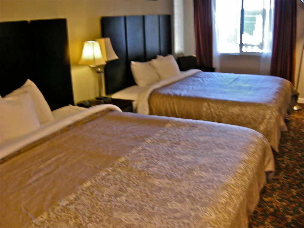 Deluxe King Suite - Non-Smoking