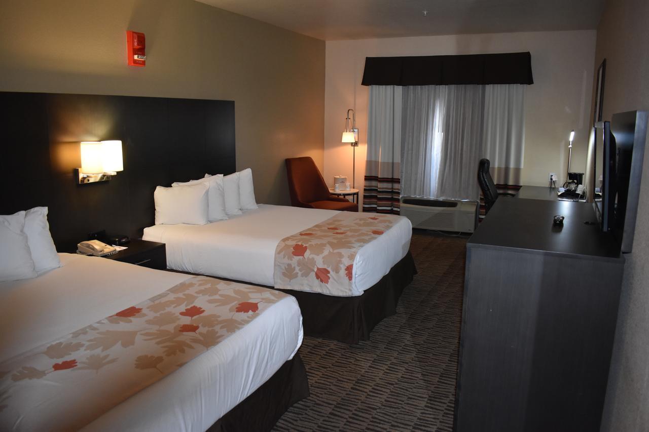 King Room w/ Sofa Bed - Disability Access - Non Smoking