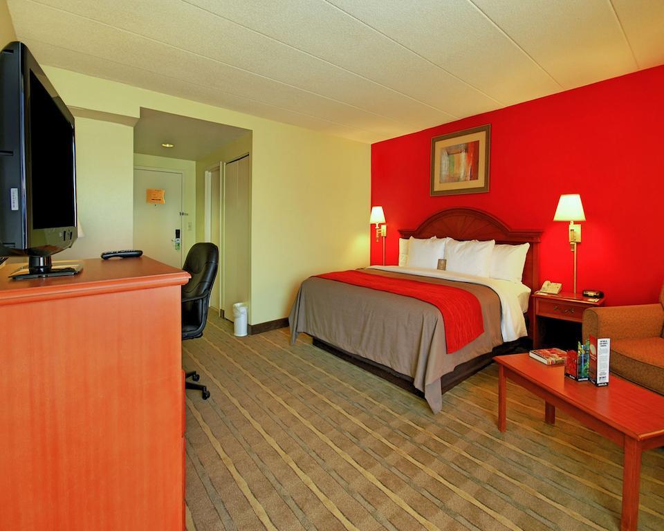 King Room - Non-Smoking
