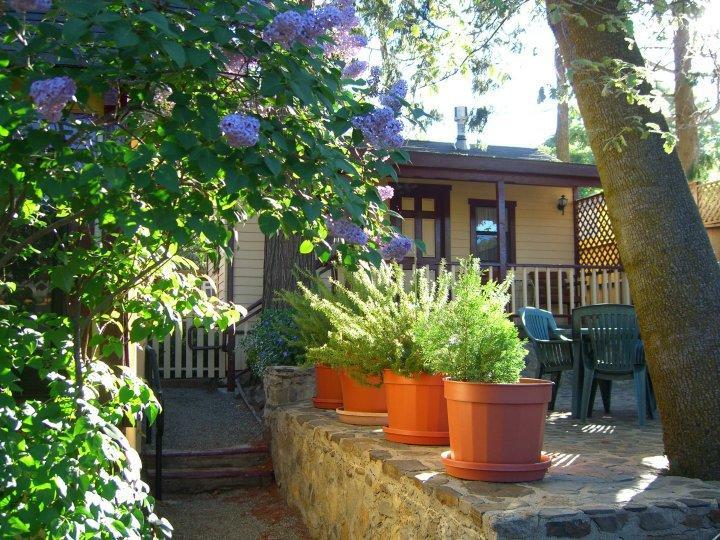 Patio Cottage