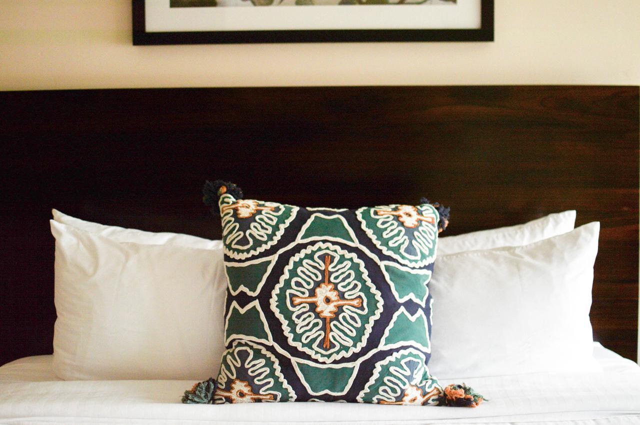 Suite 1 King Bed,1583077282:JPEG