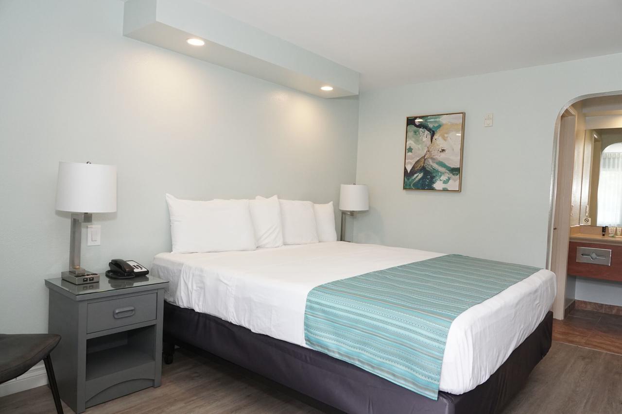 King Room - Disability Access,663793431:JPEG