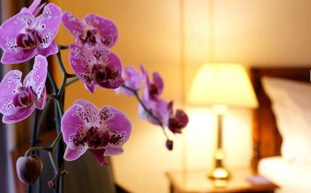 Prestige Double Room,191190199:JPEG