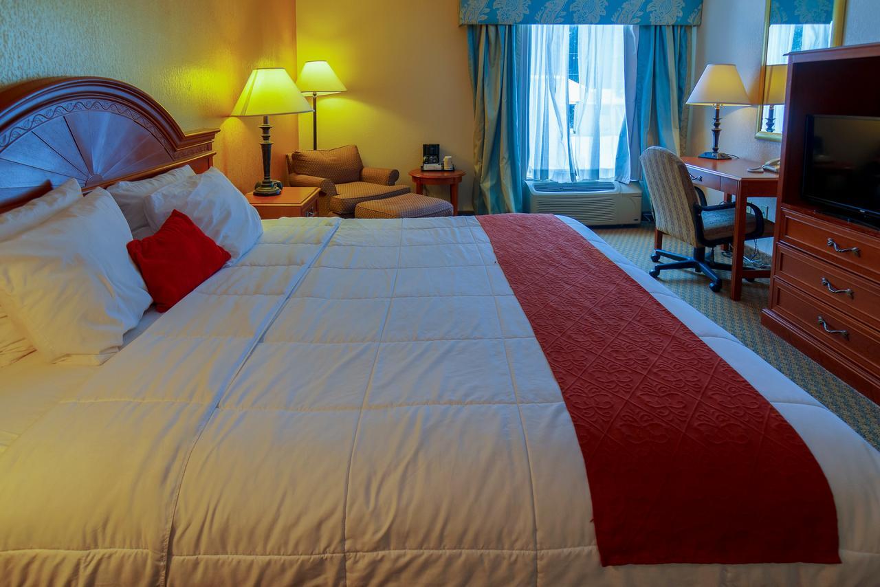 King Room,640865955:JPEG