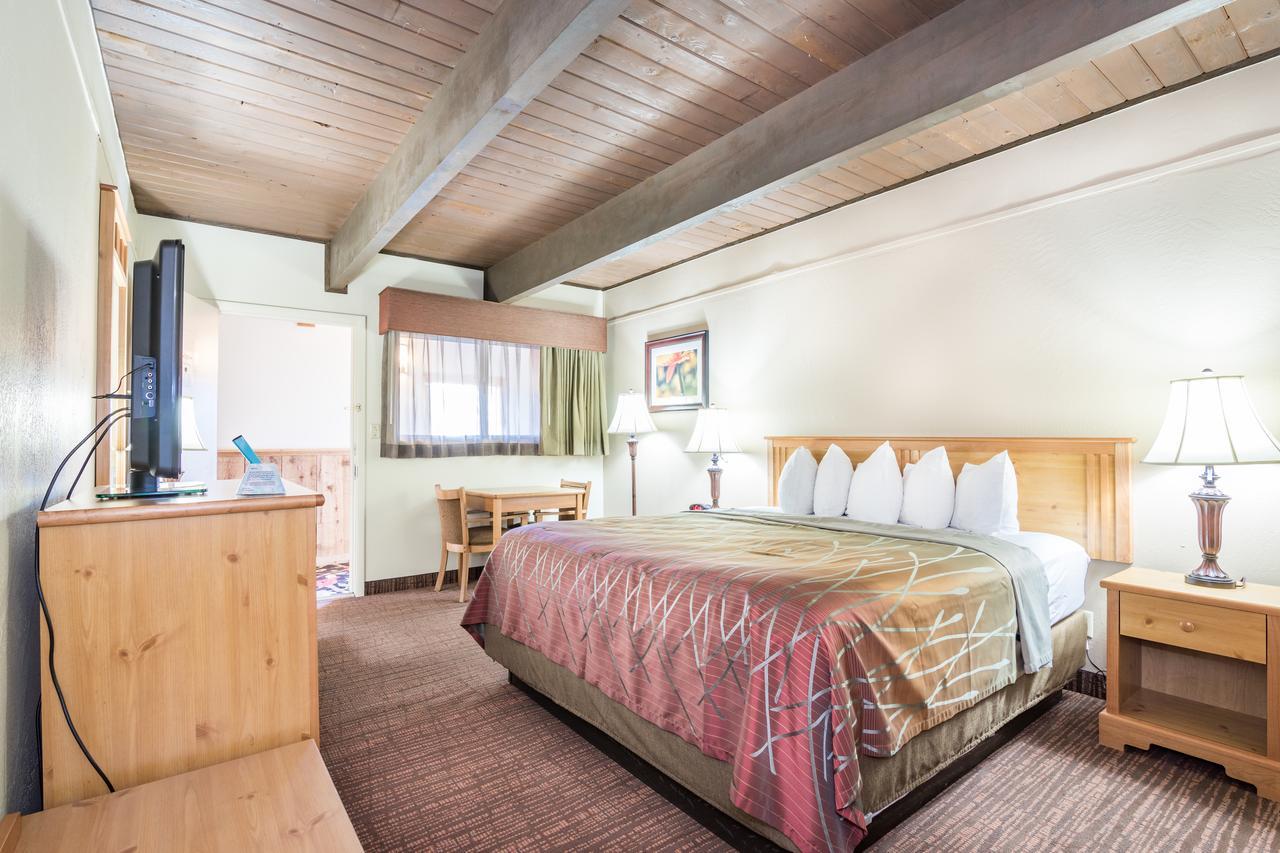 Large Single Room