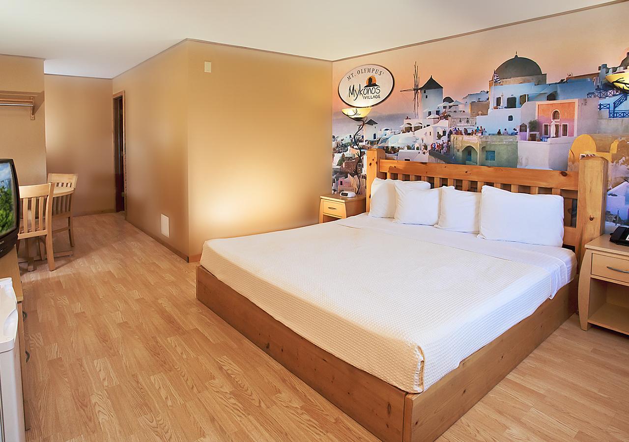 Resort Room 1 Queen (includes free water & theme park passes)
