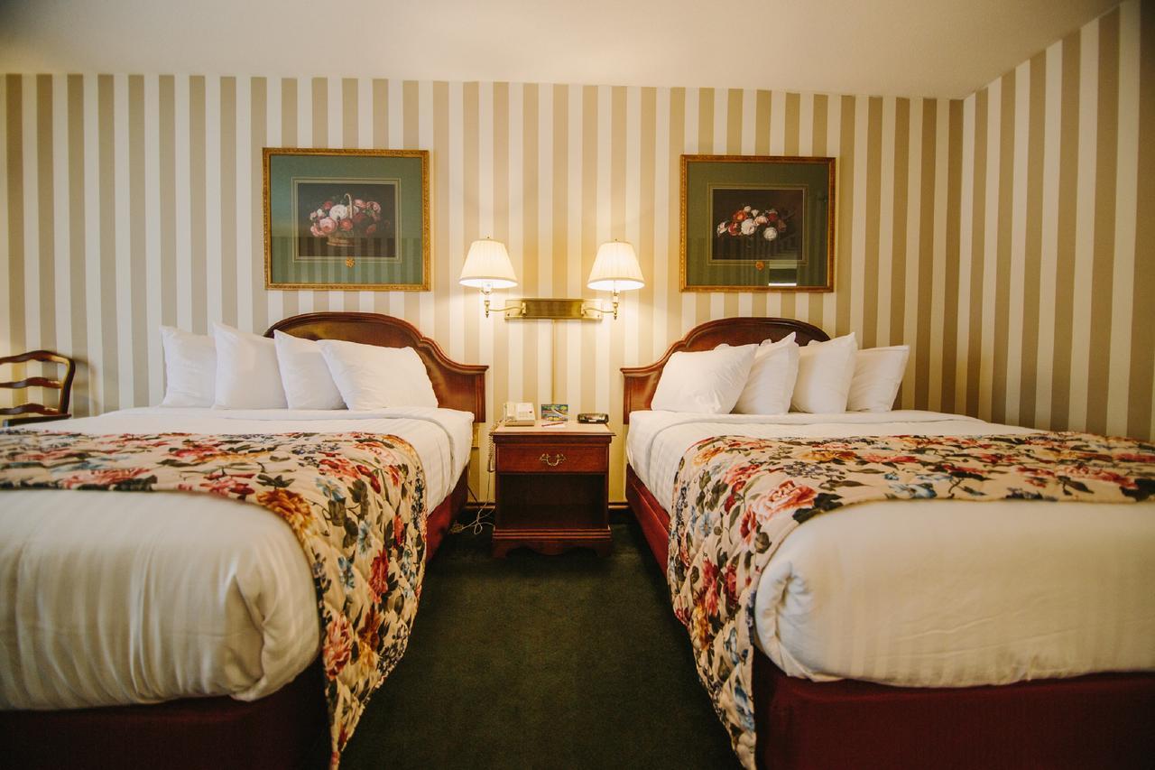 Room Selected at Check-In - Non-View,690885057:JPEG