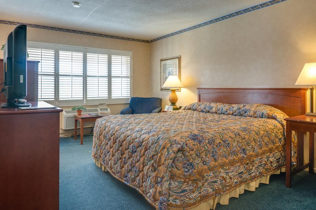 King Room,67464875:JPEG