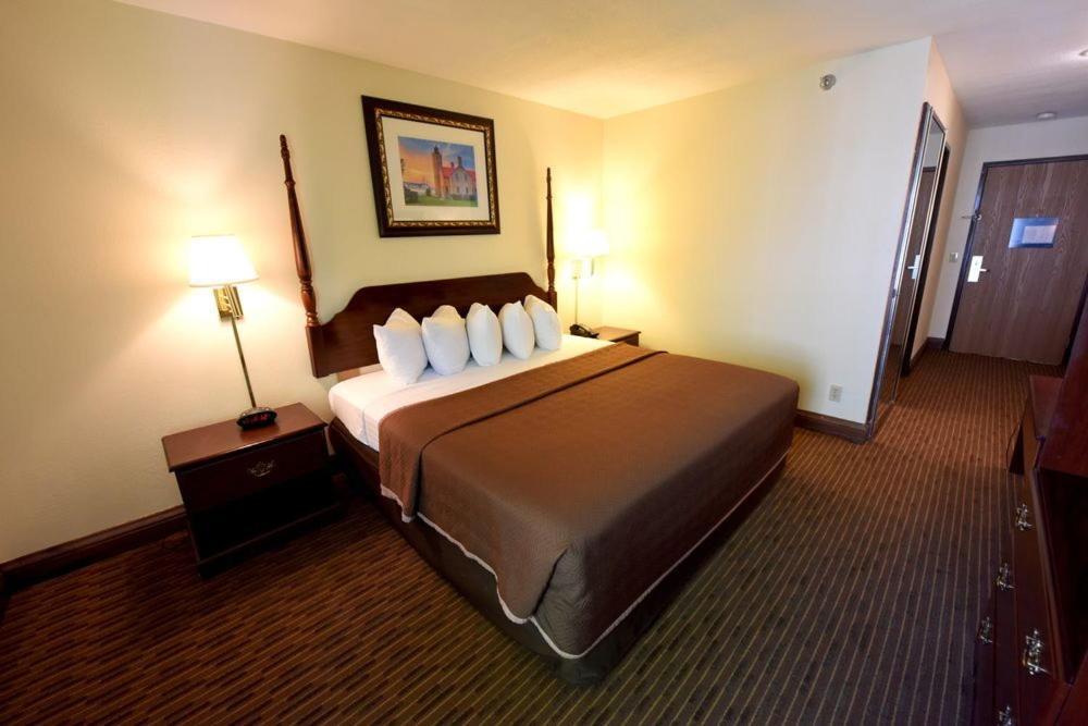 Single Room - Disability Access