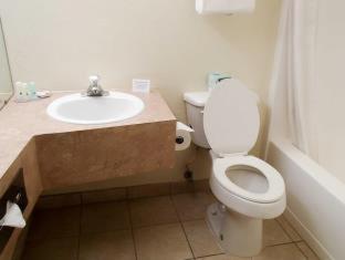 One Room Suite with Whirlpool - Non Smoking