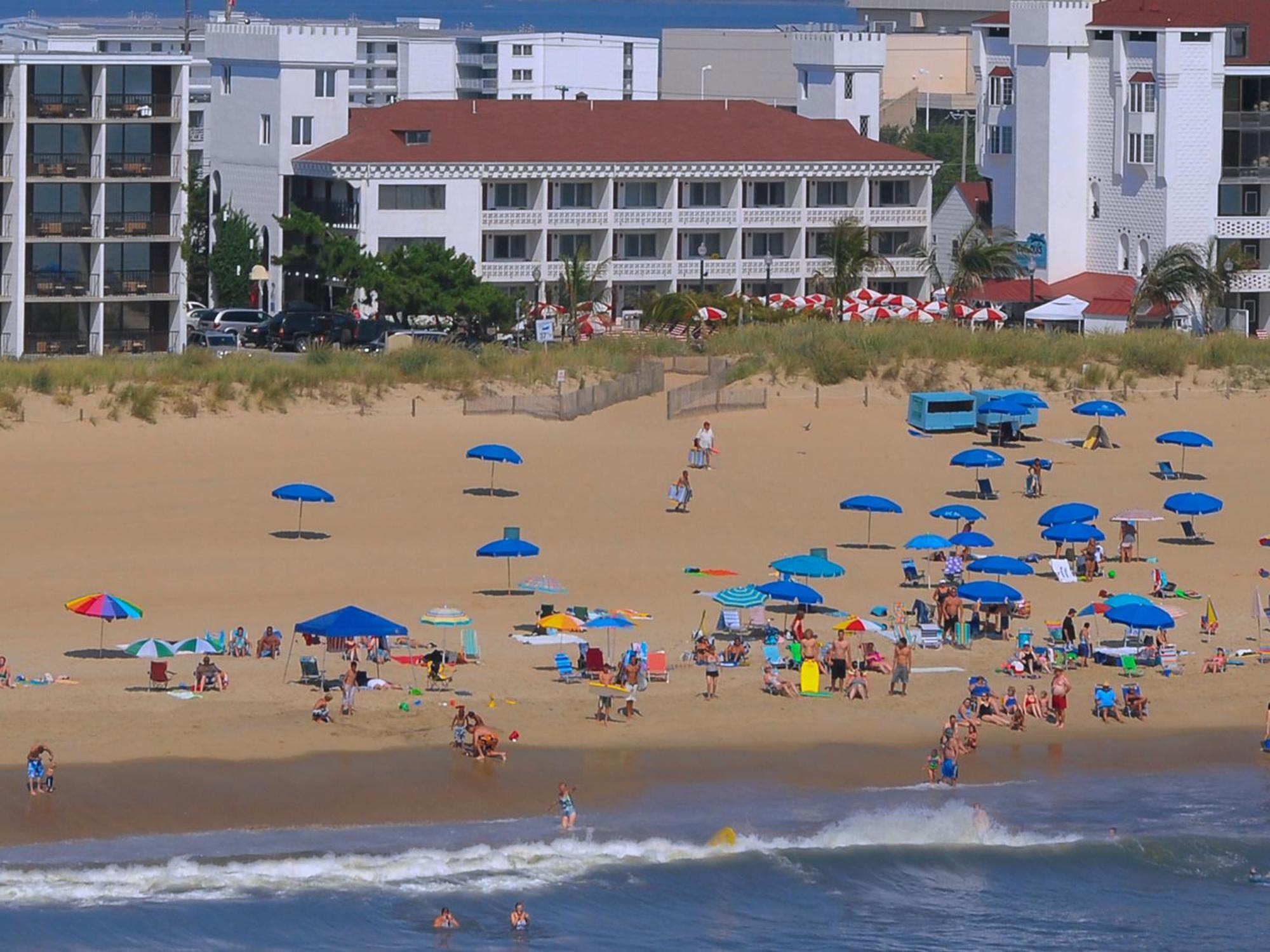 Queen Suite with Ocean View,1416953211:JPEG