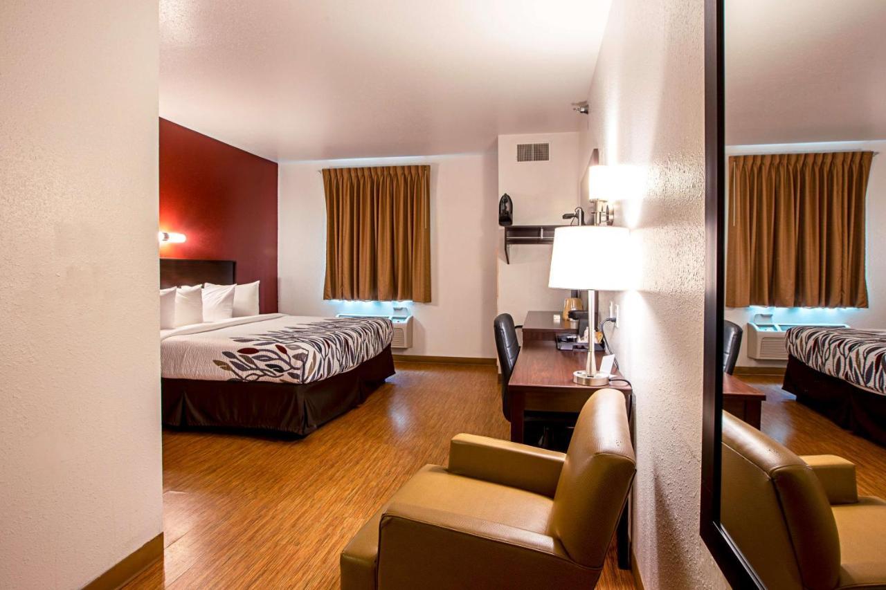 King Room - Disability Access,718293391:JPEG