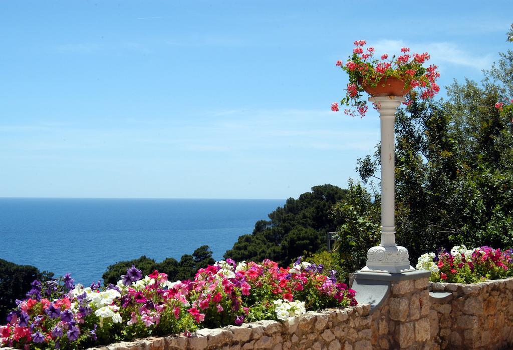 Deluxe Double Room with partial sea view and Terrace outdoor Jacuzzi