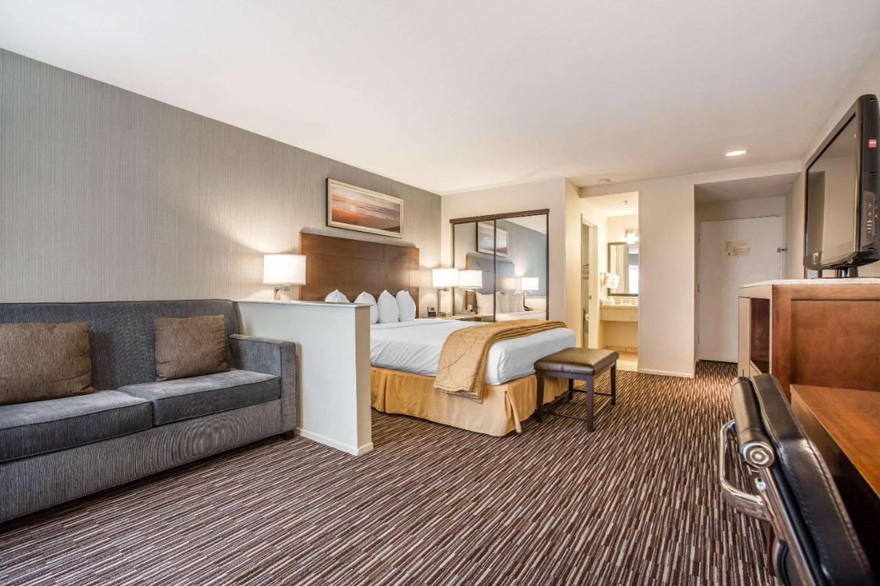 Standard King Room with Roll-in Shower - Accessible/Non-Smoking