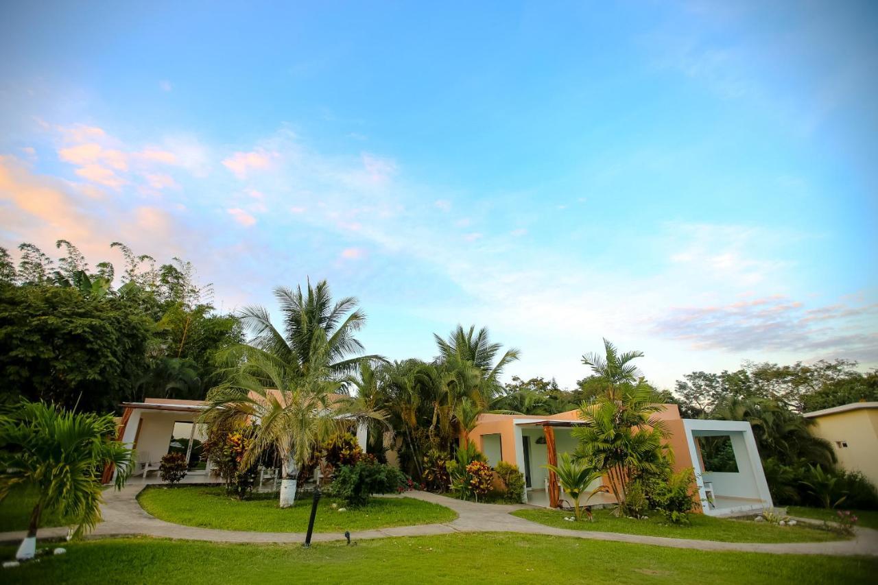 Double or Twin Room with Ocean View