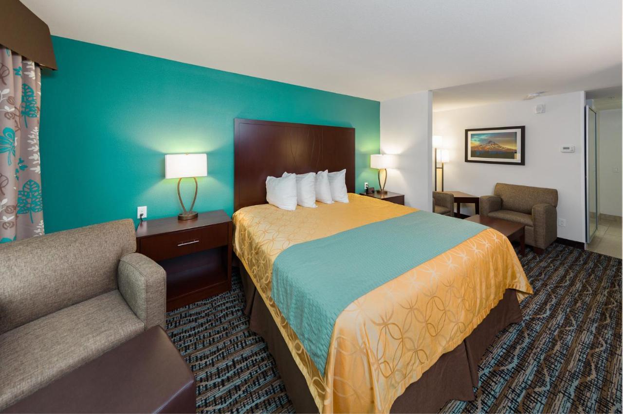 King Suite - Not Pet Friendly