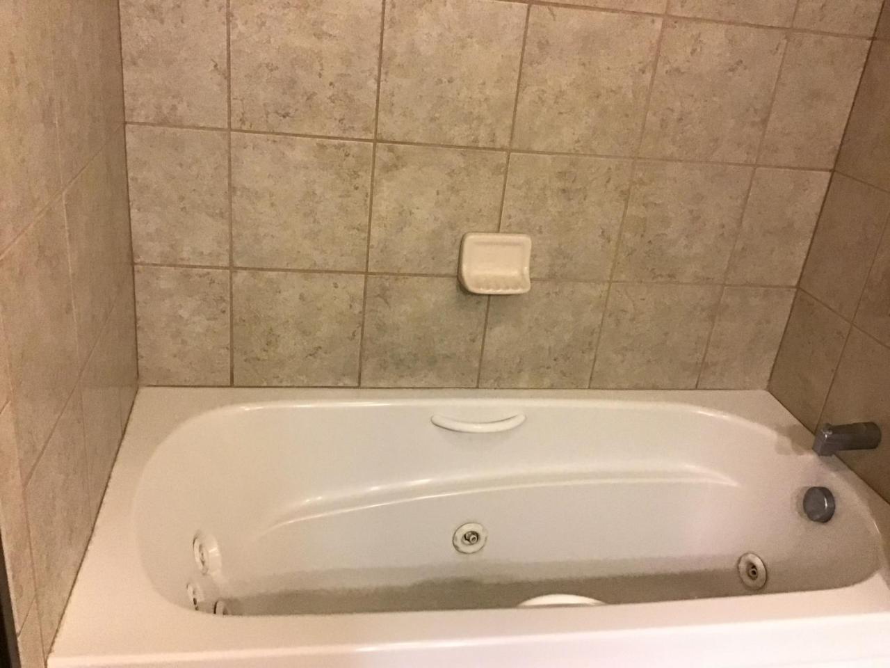 Queen Studio Suite - Non-Smoking,1597598181:JPEG