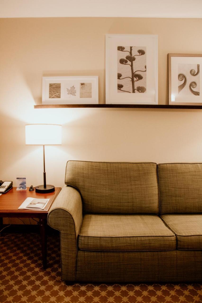 King Studio with Sofa Bed - Non-Smoking