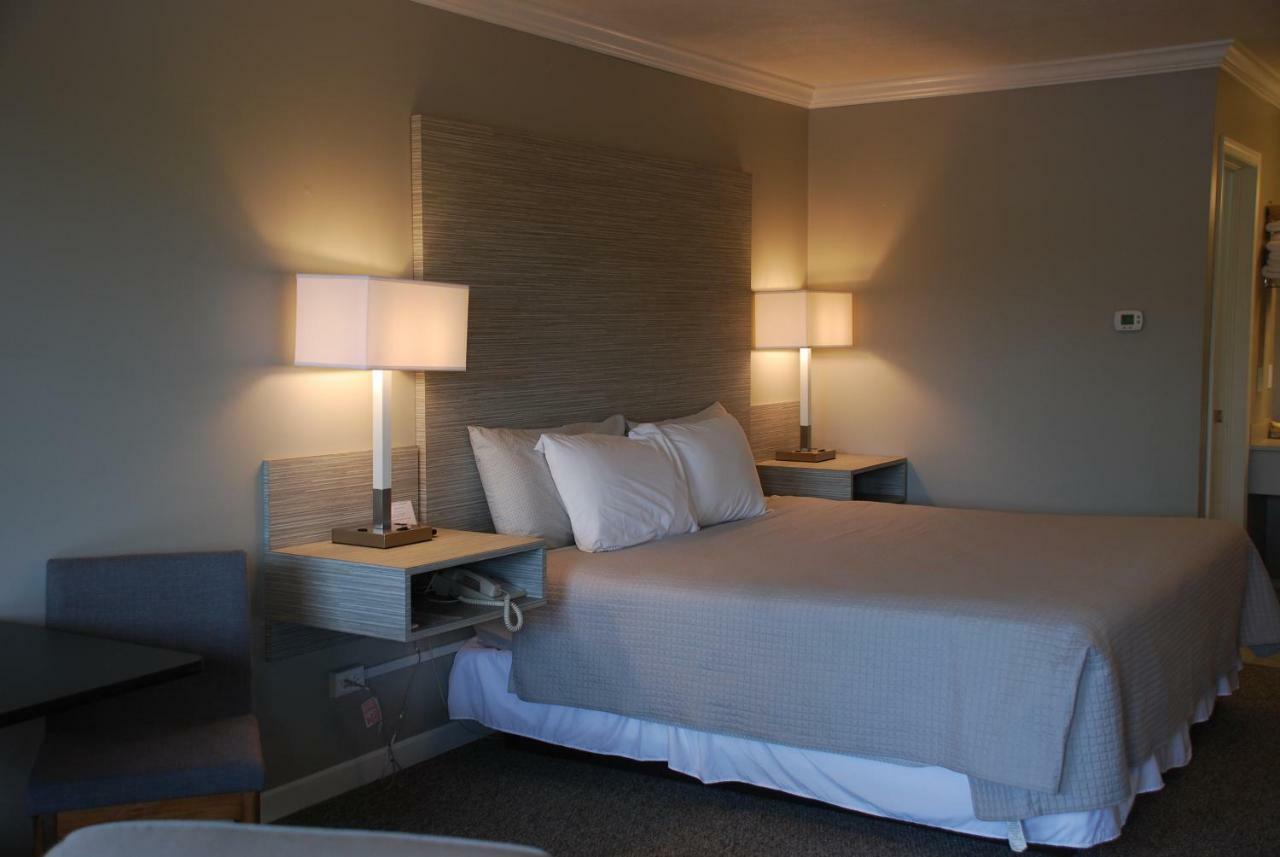 King Room,1354935440:JPEG