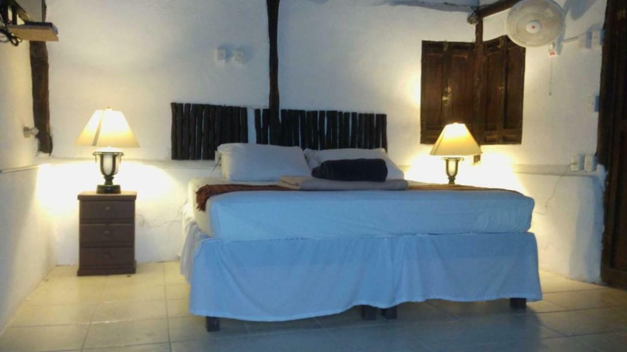 Jungle Family Suite