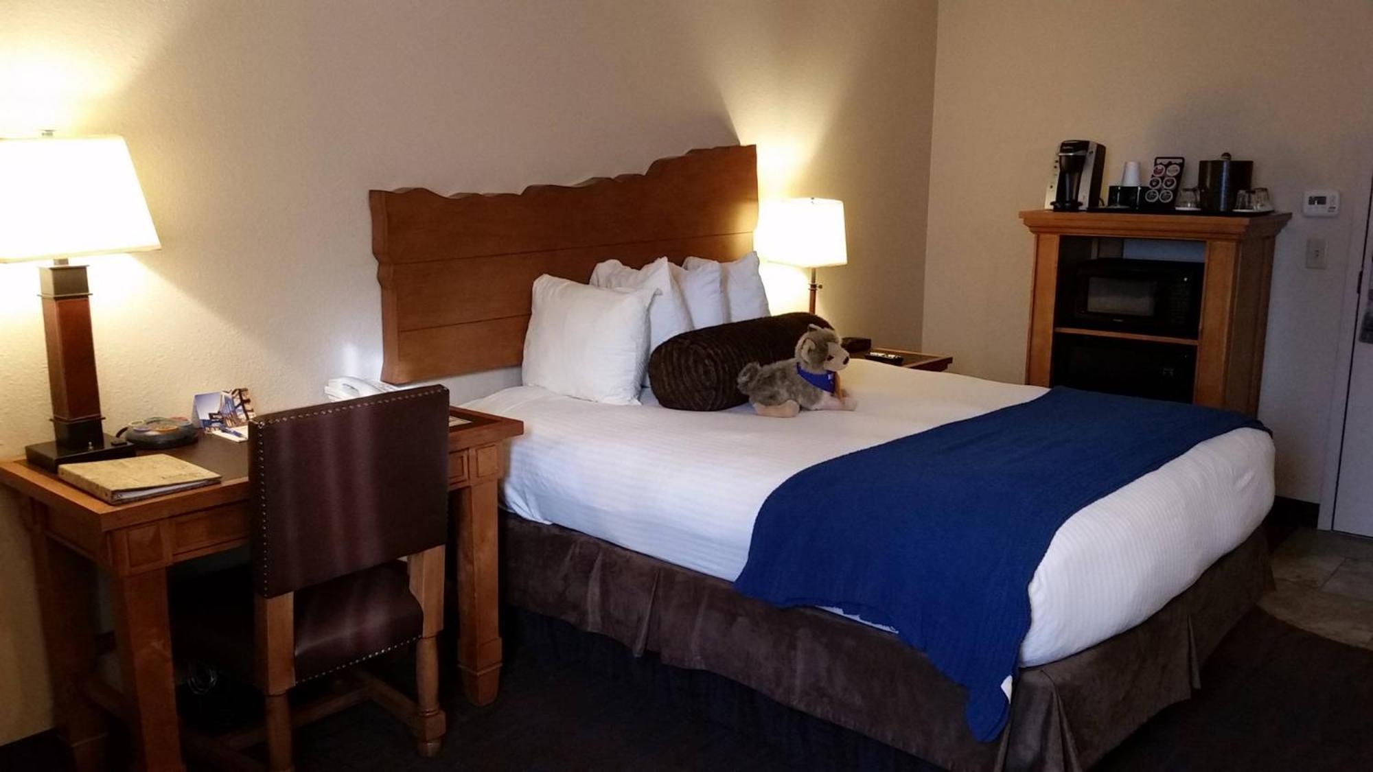 Courtyard Compact Room One Queen Bed