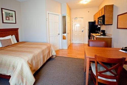 Studio Suite