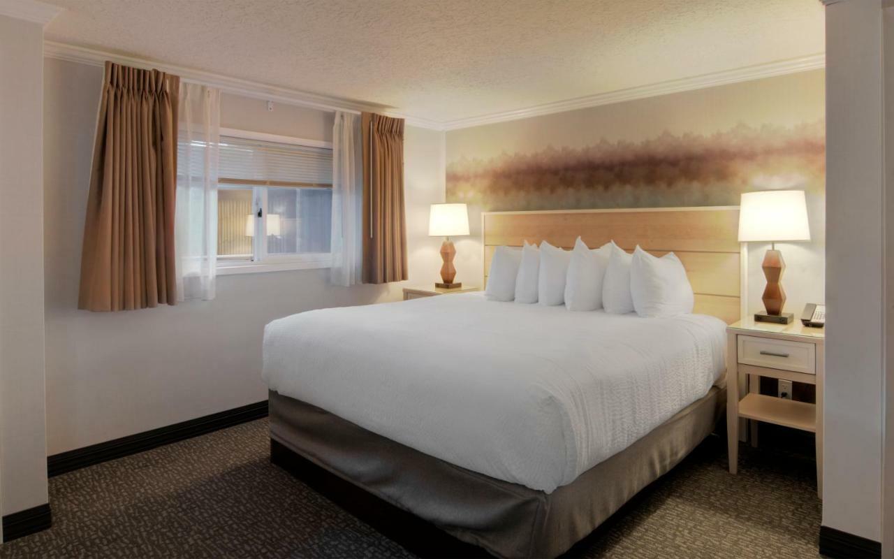 King Room,889601521:JPEG