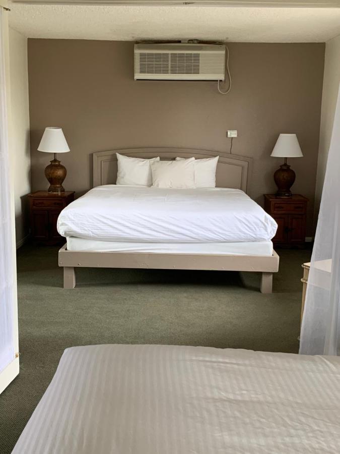 Mountain View King,945083857:JPEG