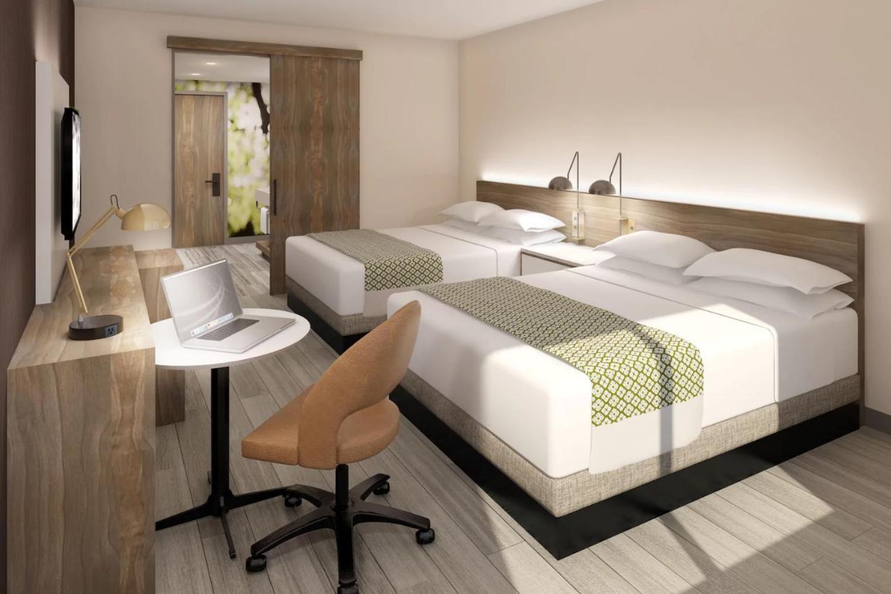 Queen Room with Two Queen Beds - Non-Smoking