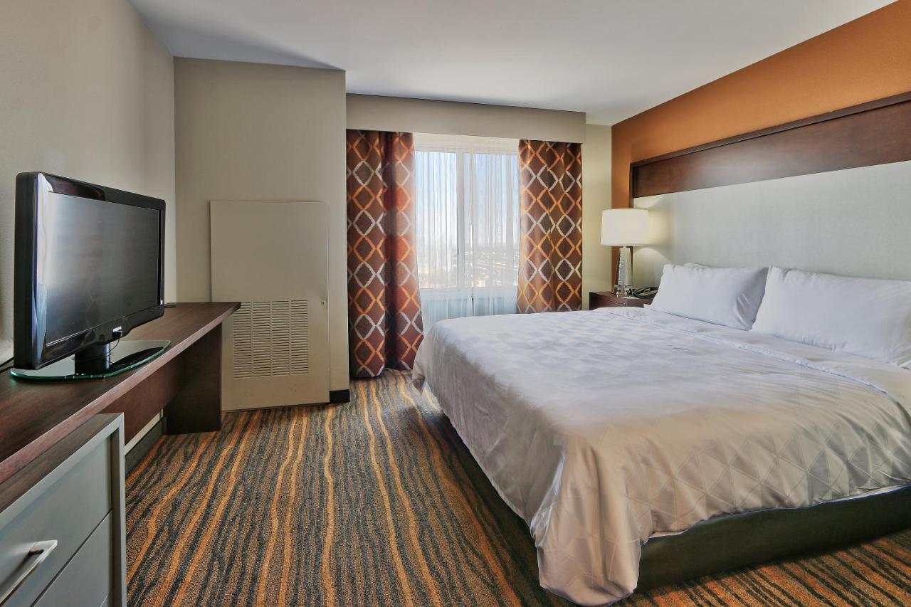 King Suite