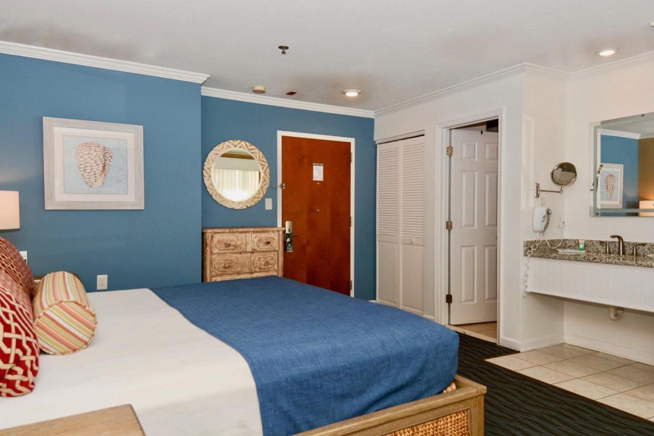 Perfect Wave Premium King,989827894:JPEG