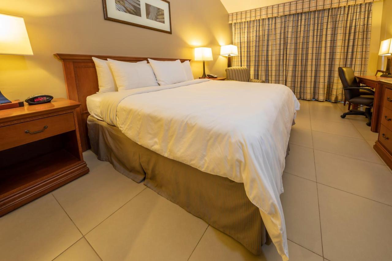 King Suite with Sofa Bed - Non Smoking