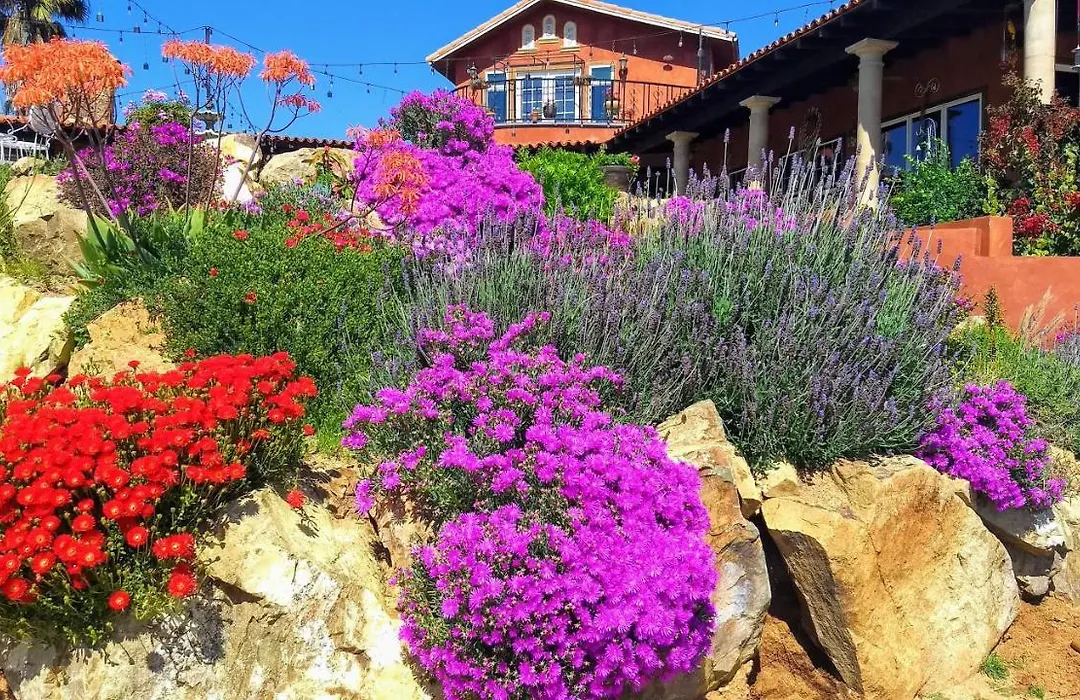 Vina Calabria-1