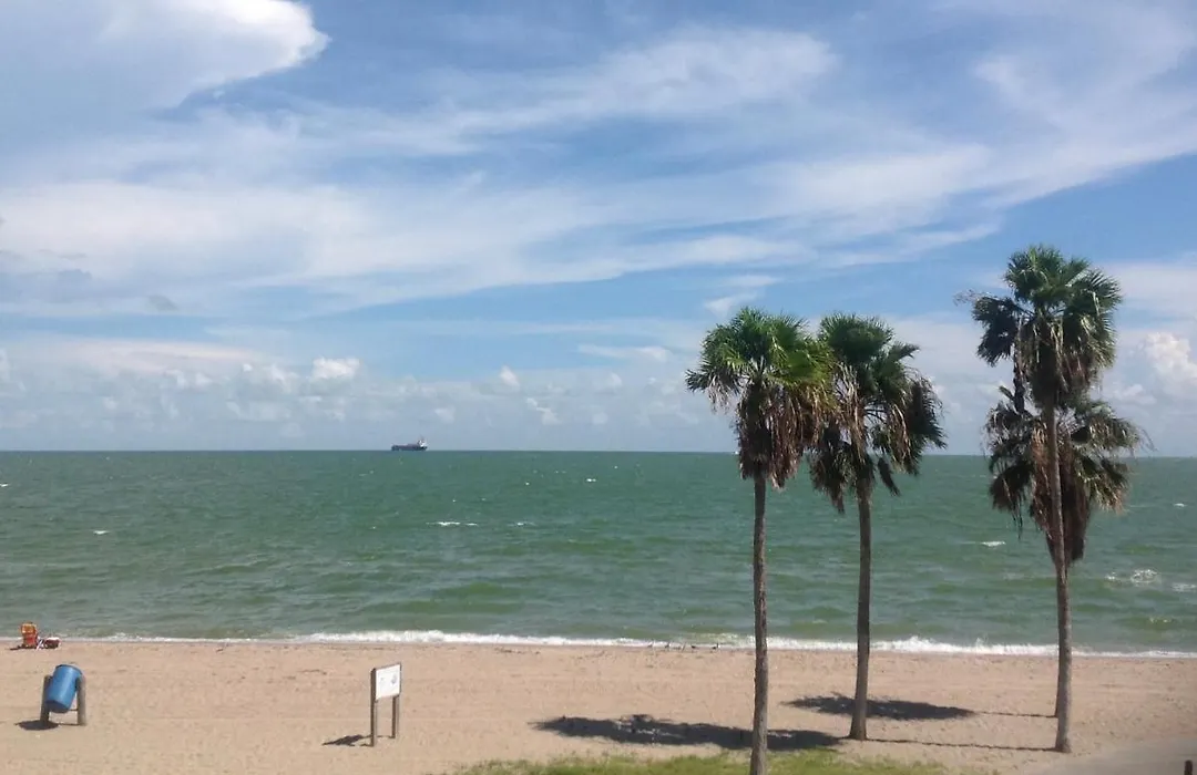 Spectacular Beach View!-1