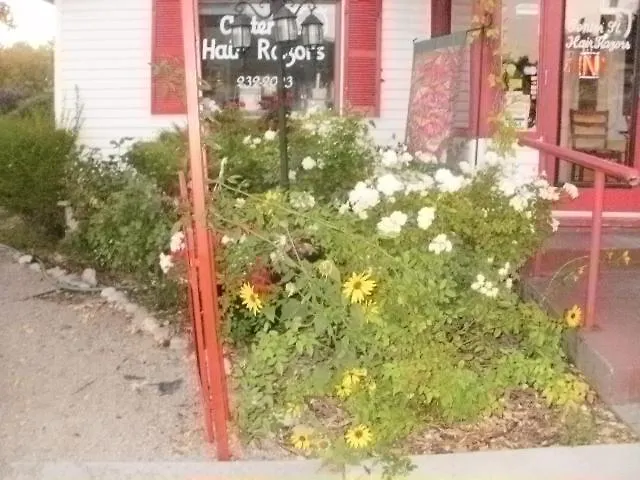 Center Street Cottage-1